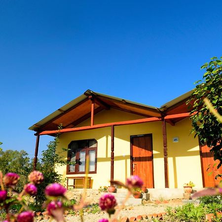 Nature Safari Resort Bardiya Экстерьер фото